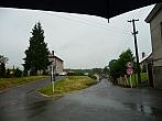 Třibřichy